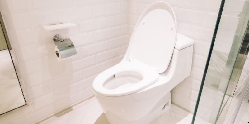 Como Desentupir Vaso Sanitário Que Caiu Objeto Dentro em São Gonçalo: 4 Técnicas